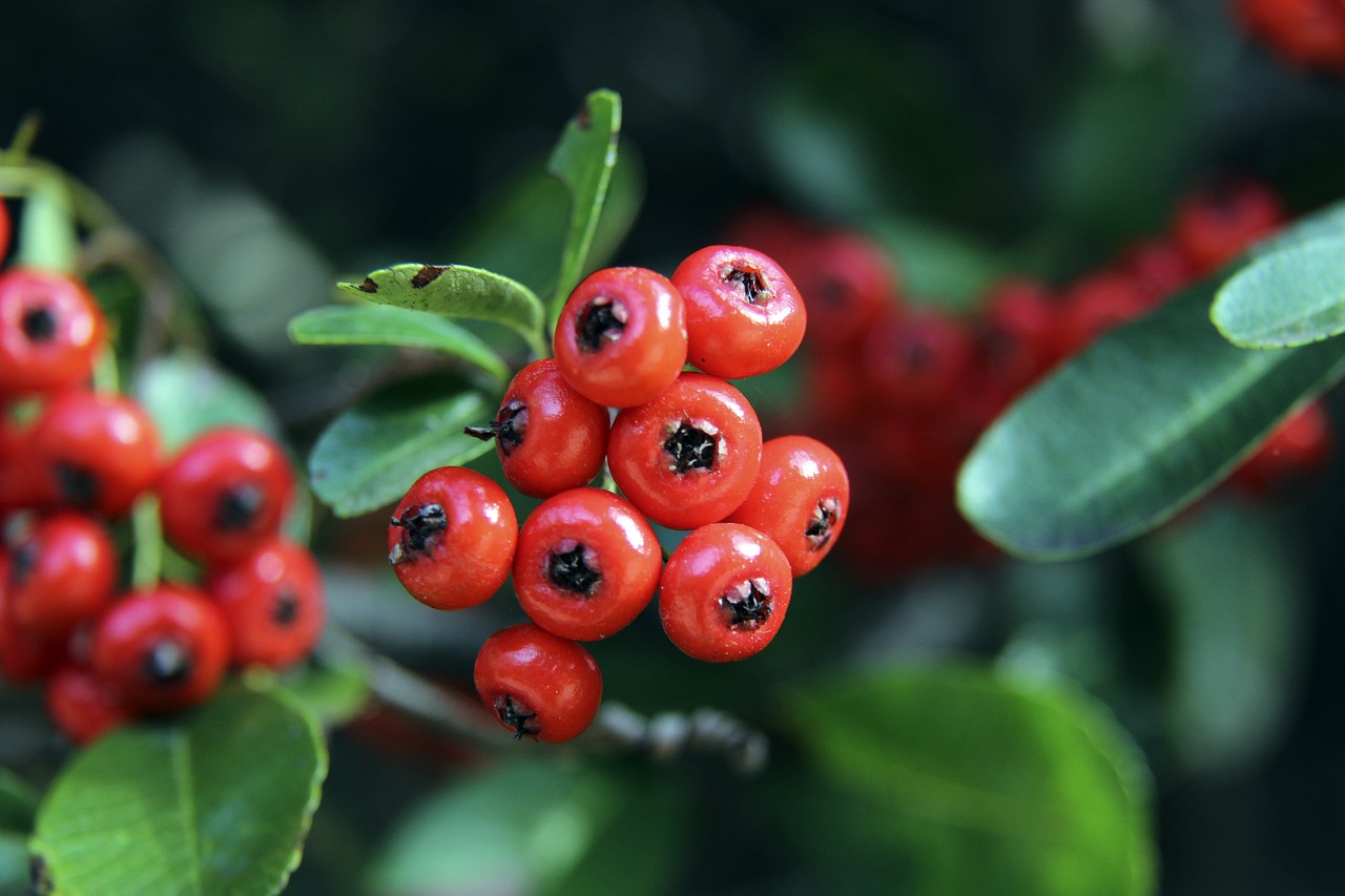 顺利小组出 顺利小组出