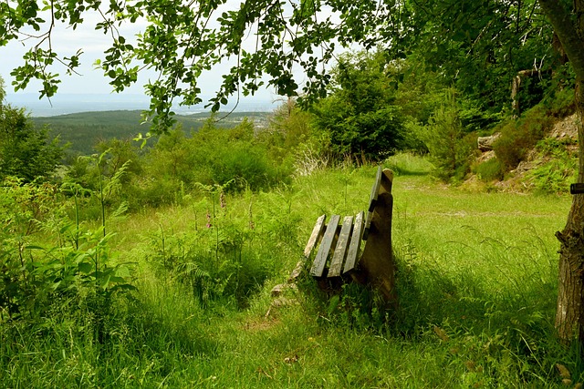 作为近年来 作为近年来