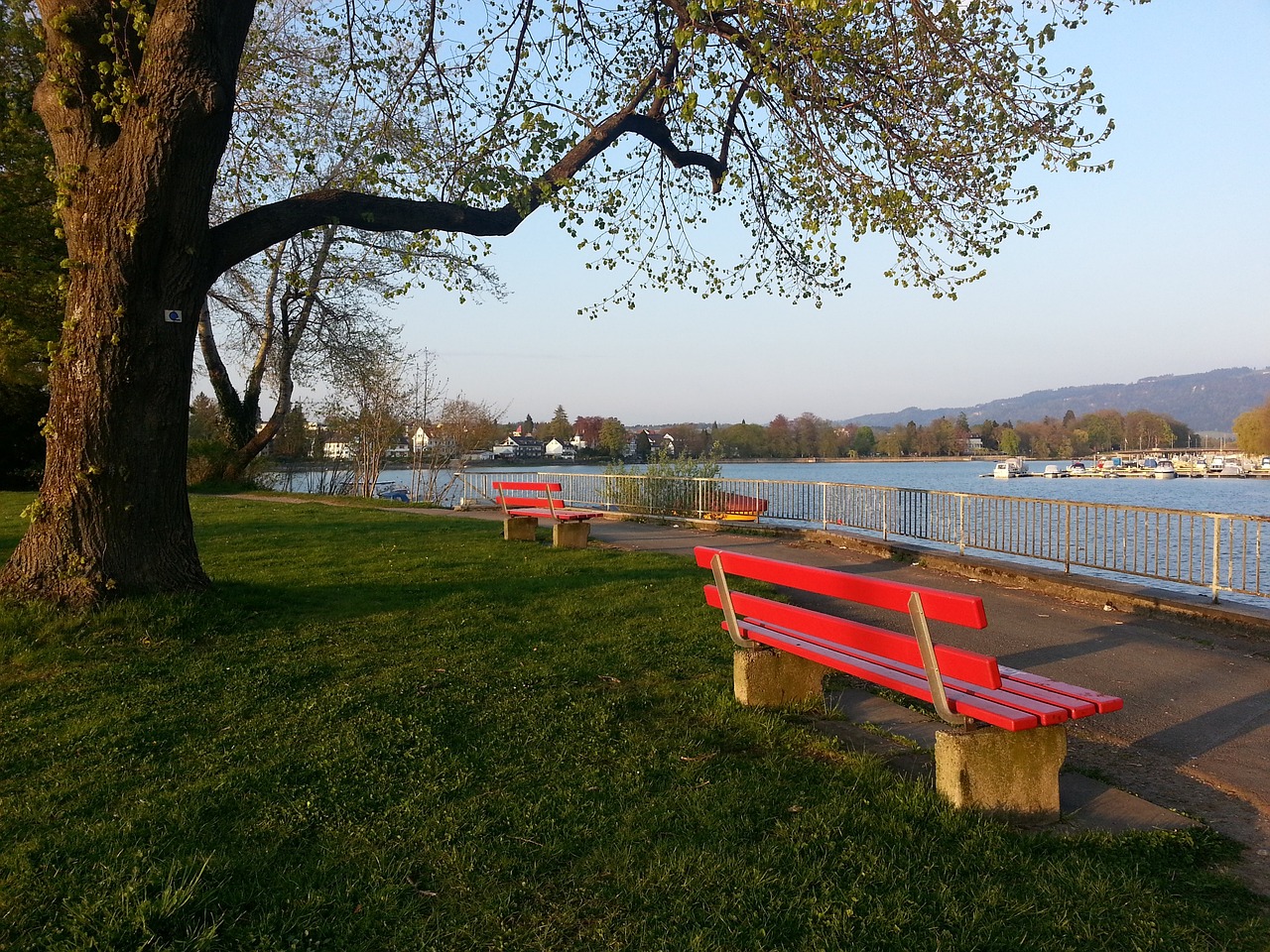 马竞回应点球事件：即使VAR有错赛果也不会更改.