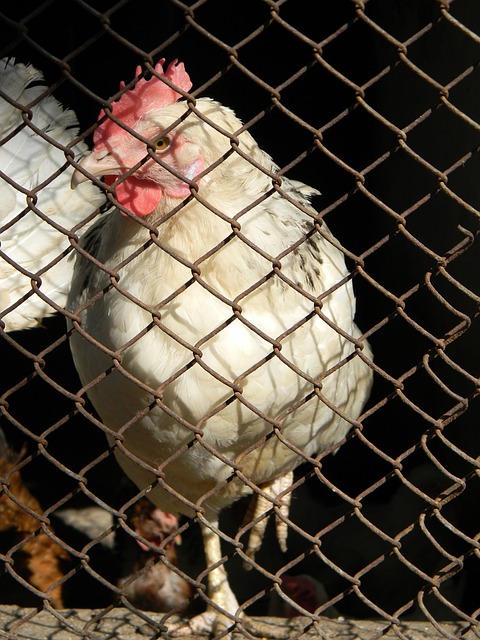 公益活动 公益活动