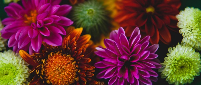 具有国际竞 具有国际竞